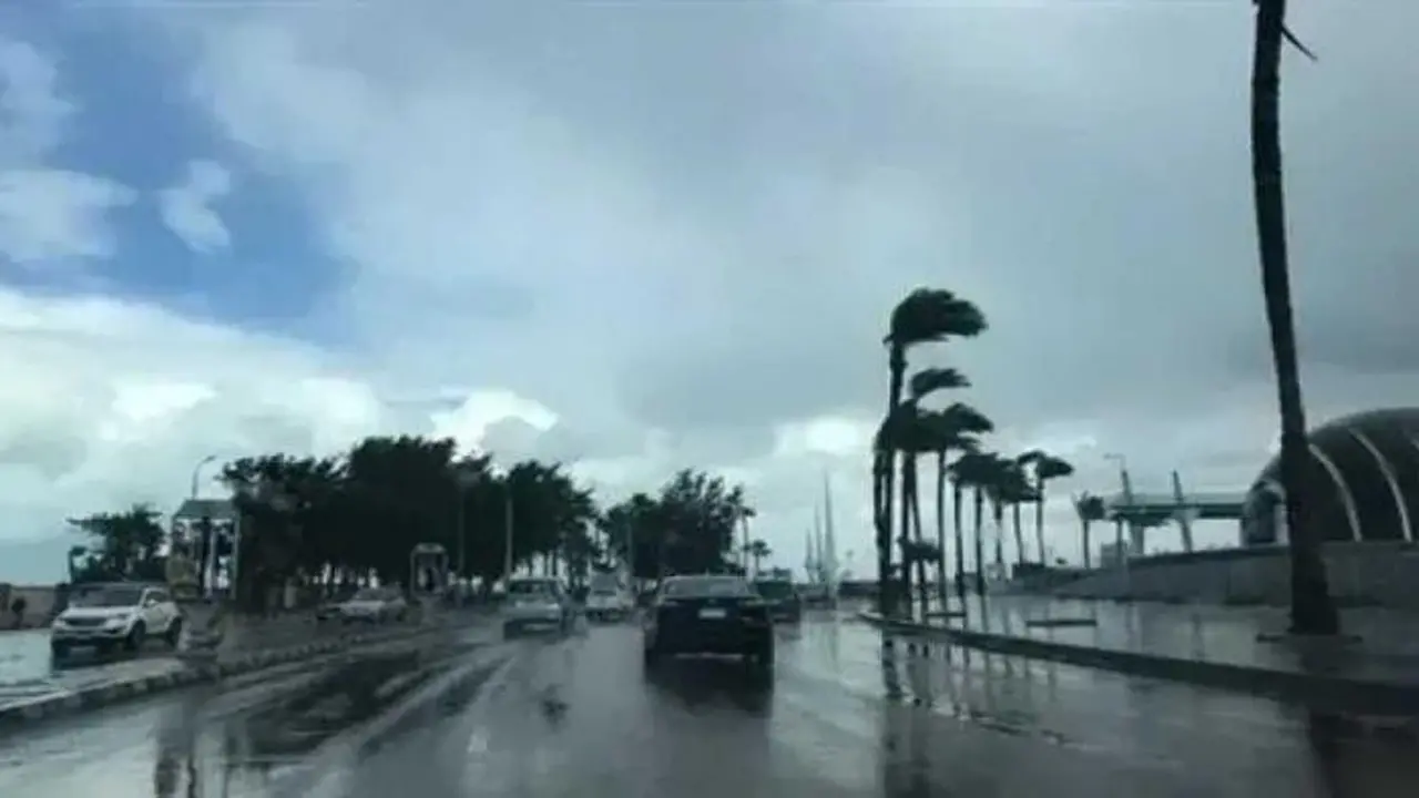 تحذير لـ مزارعي مصر من موجة صقيع تضرب البلاد وتغيرات جوية غدًا الأحد